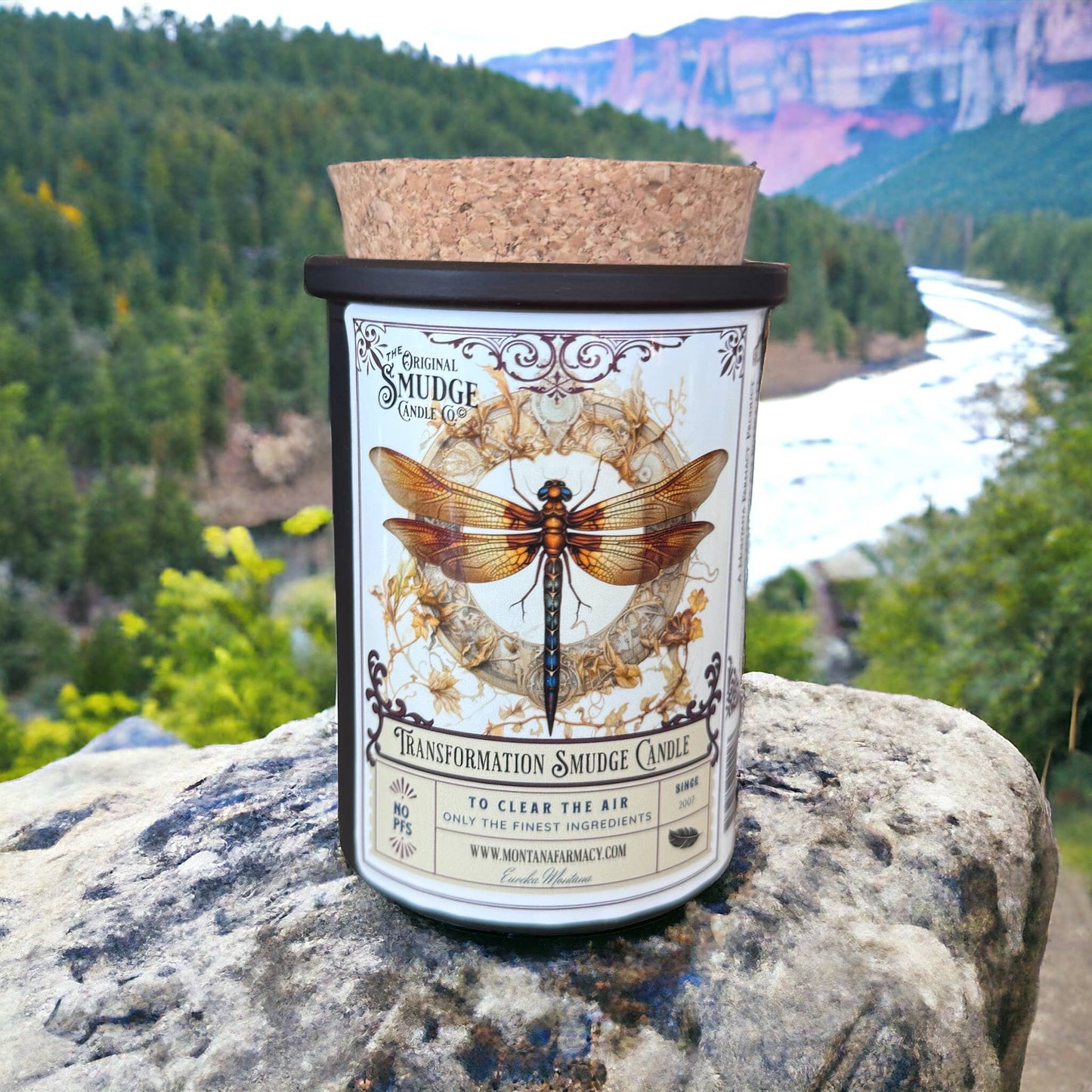 Transformation Dragonfly  Orig Smudge Candle Space Clearing