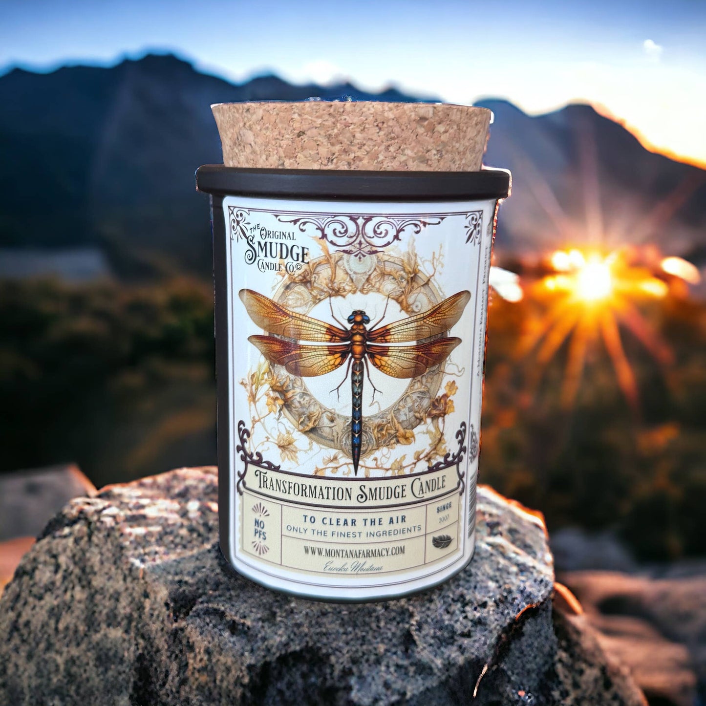 Transformation Dragonfly  Orig Smudge Candle Space Clearing