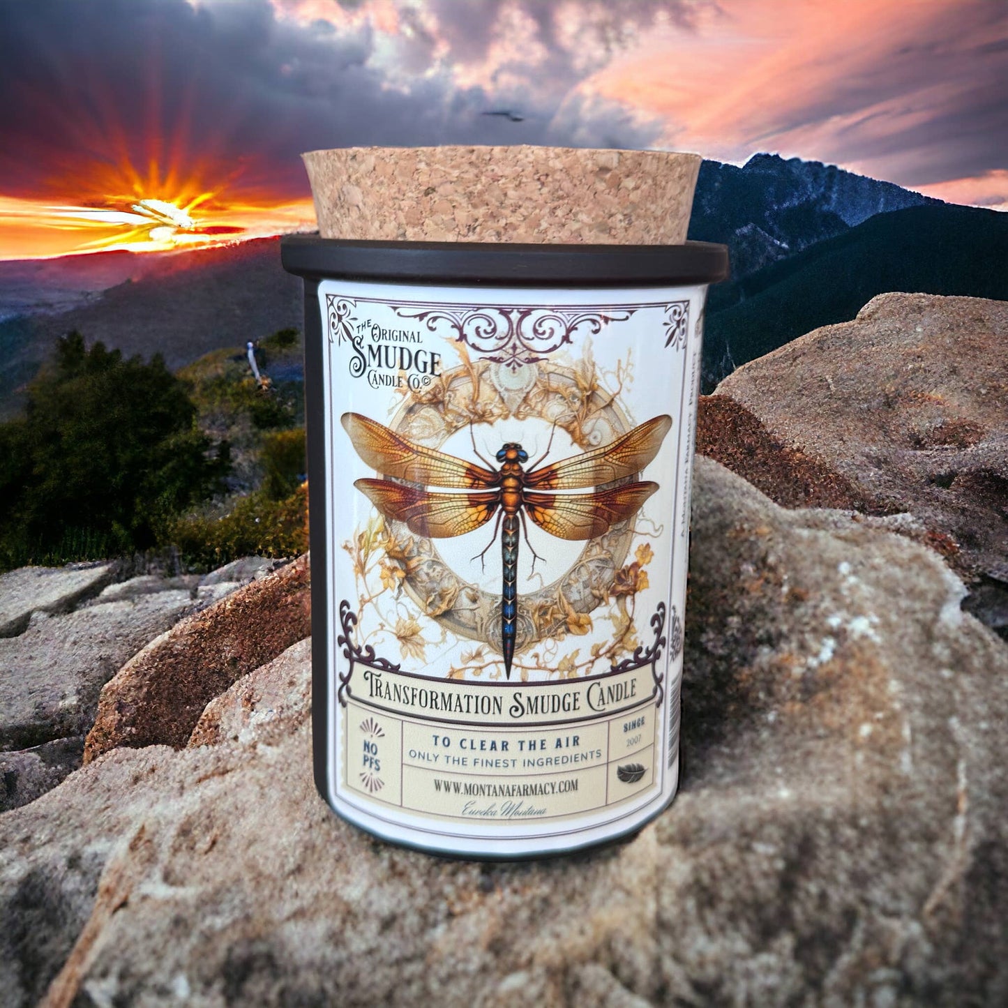 Transformation Dragonfly  Orig Smudge Candle Space Clearing