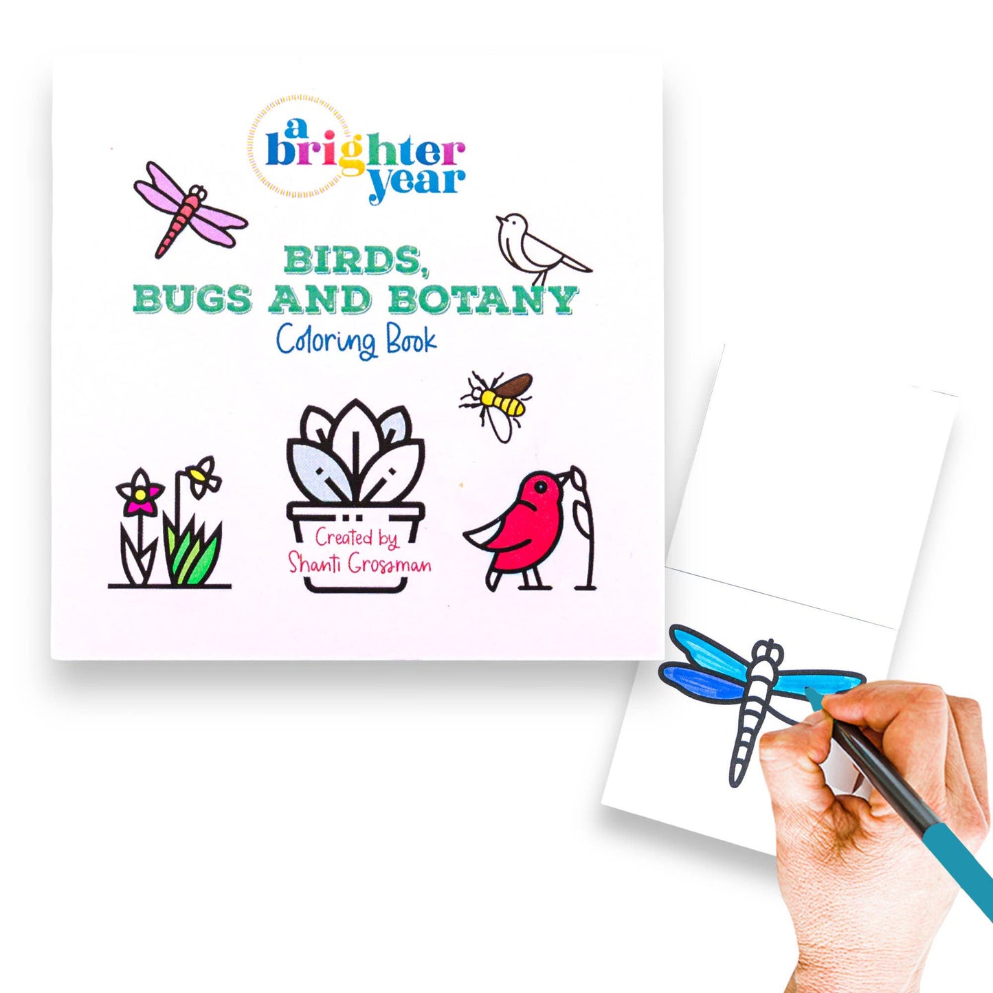 Coloring Book for Adults - Mini 3x3: 50 Pages Birds Bugs and Botany