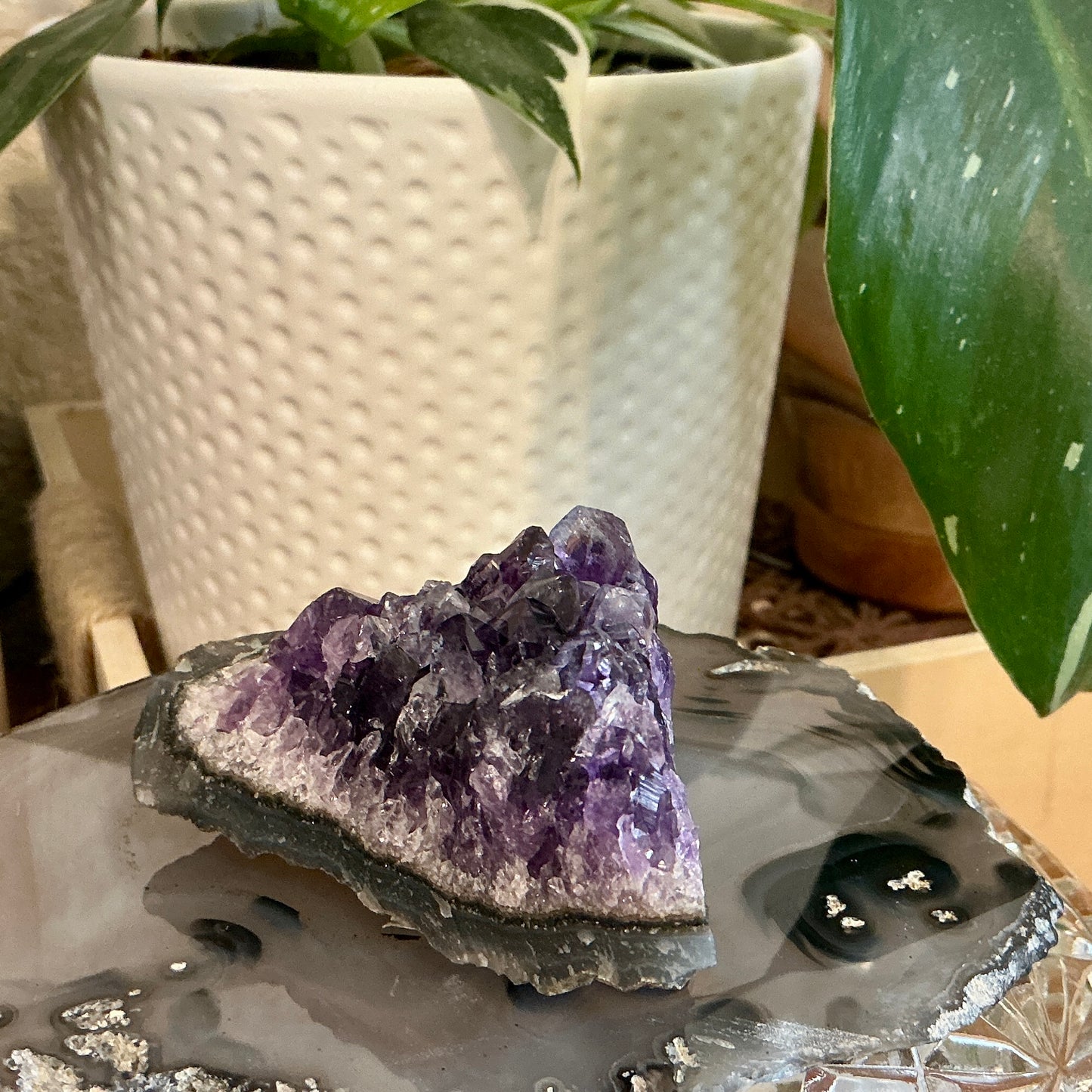 Amethyst Cluster