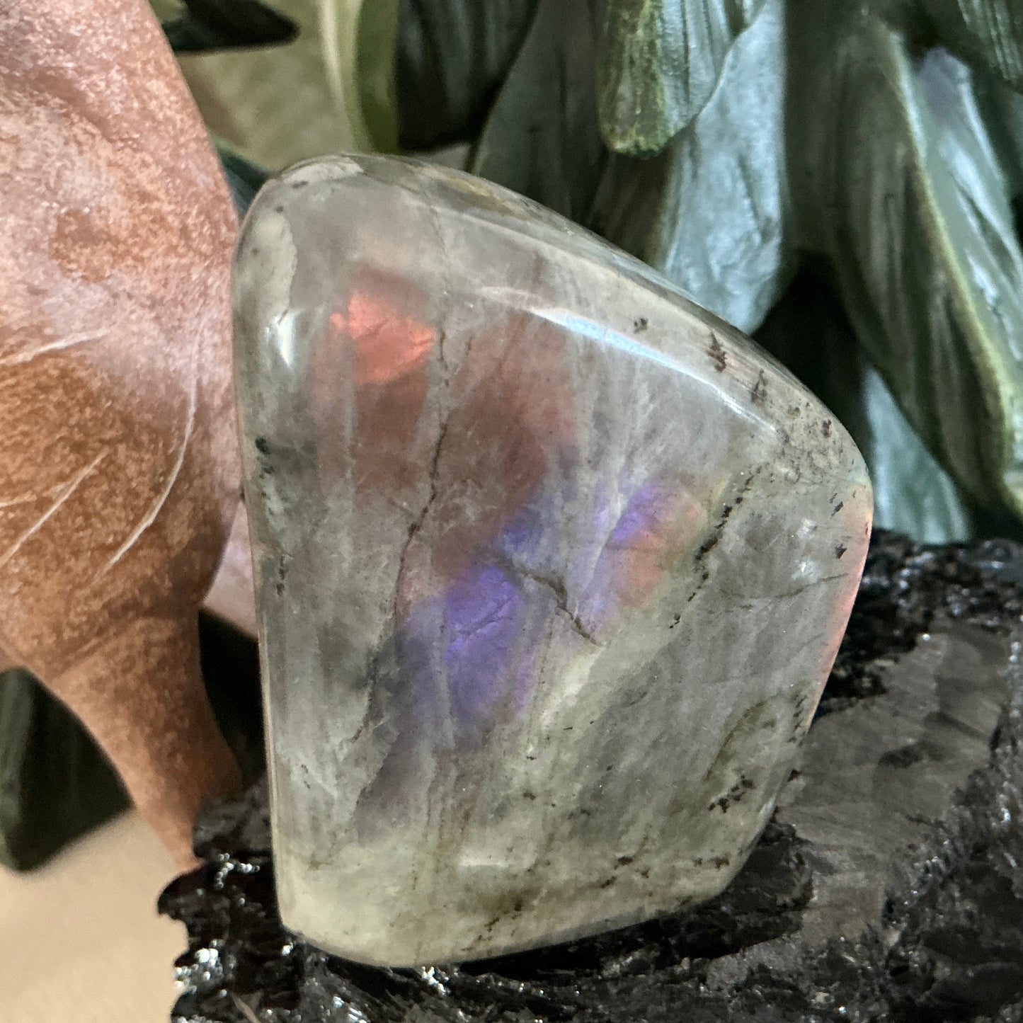 Labradorite
