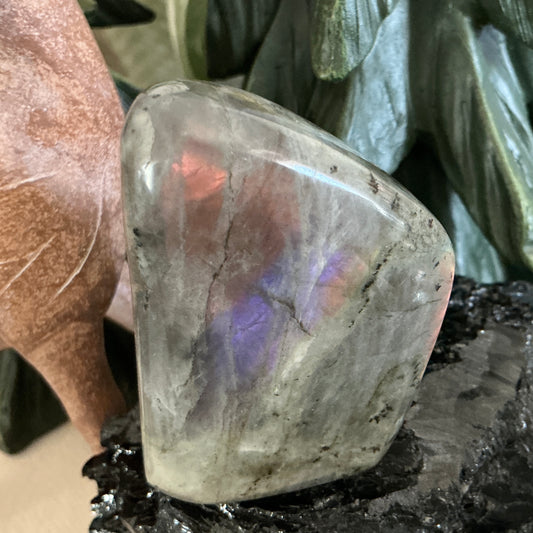 Labradorite