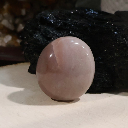 Ocean Jasper Palm