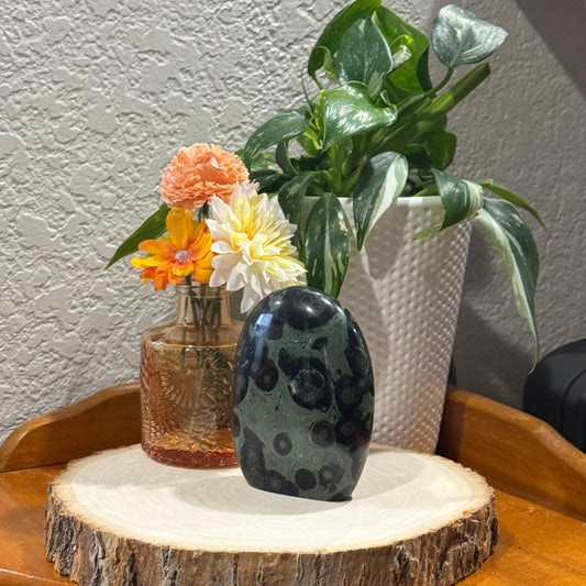 Kambaba Jasper Free Form
